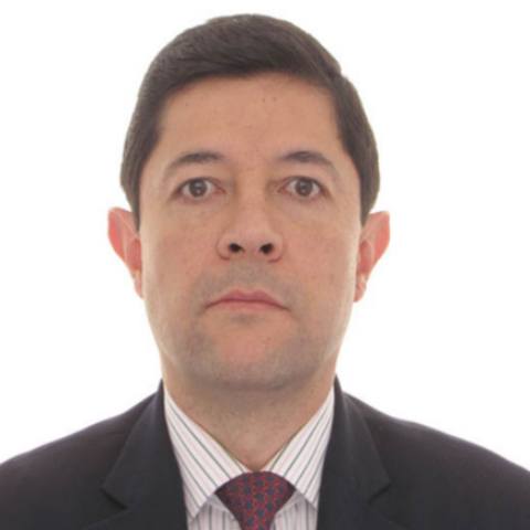 Carlos Roberto Villa Nillo